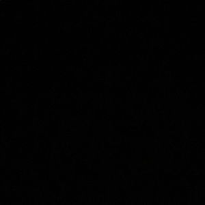 Meet your Posher, Paige